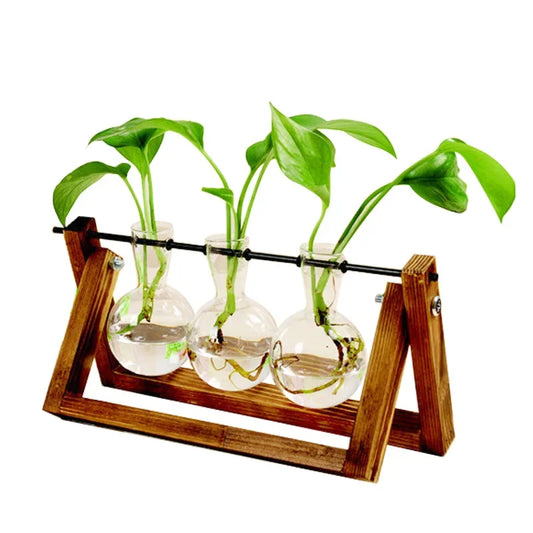 Hydroponic Glass Vase with A-Frame Wooden Holder